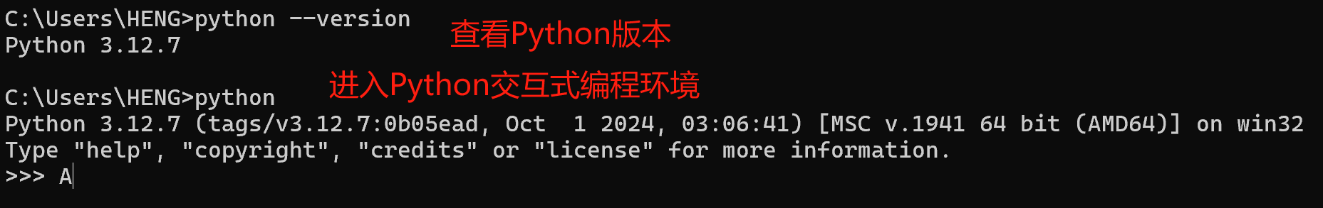 image-20250310205631479